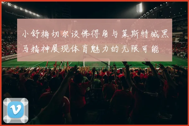小舒梅切尔谈佛得角与莱斯特城黑马精神展现体育魅力的无限可能