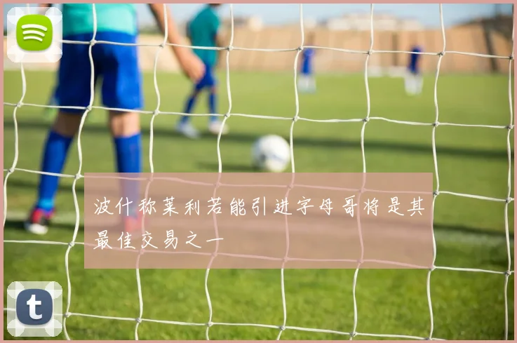 波什称莱利若能引进字母哥将是其最佳交易之一