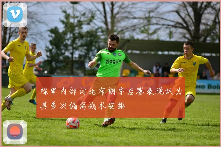 绿军内部讨论布朗季后赛表现认为其多次偏离战术安排